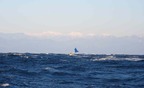 2014年12月23日石花海からの南アルプス